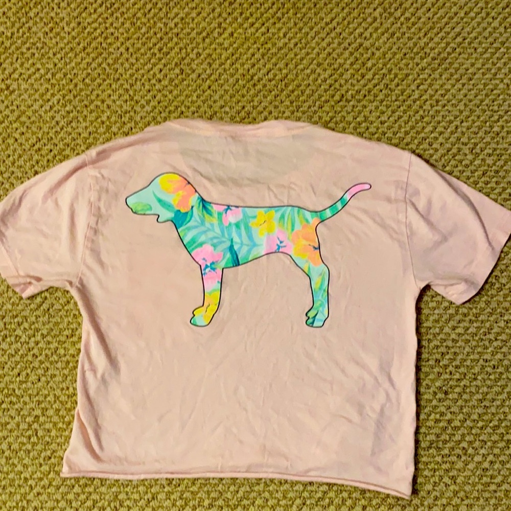 Xs PINK graphic crop top